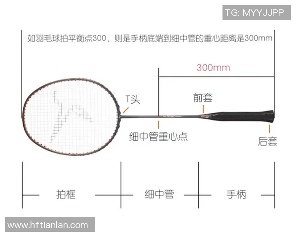 西安羽毛球队区域防守分析与战术调整探讨 西安羽毛球队区域防守分析与战术调整探讨