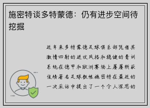 施密特谈多特蒙德：仍有进步空间待挖掘