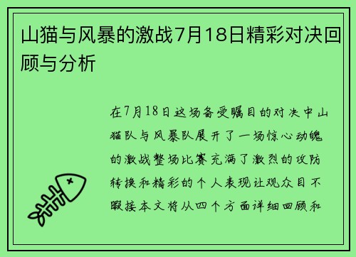 山猫与风暴的激战7月18日精彩对决回顾与分析