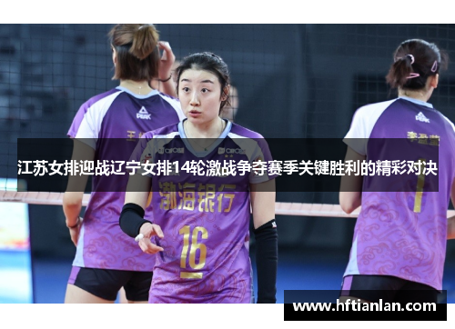 江苏女排迎战辽宁女排14轮激战争夺赛季关键胜利的精彩对决